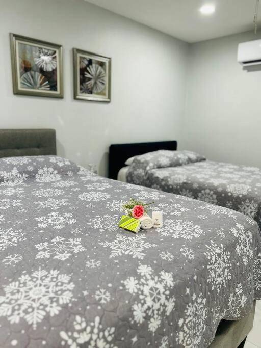 Grey Novo Studio + Free-Parking&Wifi Тампа Экстерьер фото
